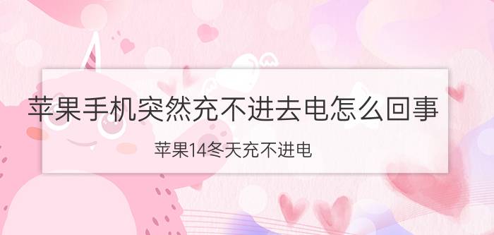 苹果手机突然充不进去电怎么回事 苹果14冬天充不进电？